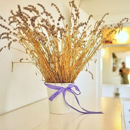Apartamento Petra Rovinj